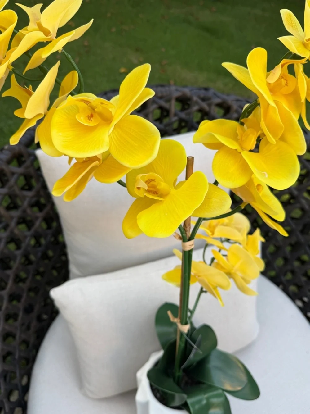 Yellow Faux Orchid in White Ceramic Vase - Home Accents